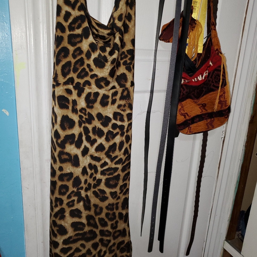 Dress - Picture 4 of 5